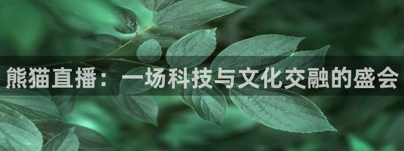 新闻图片