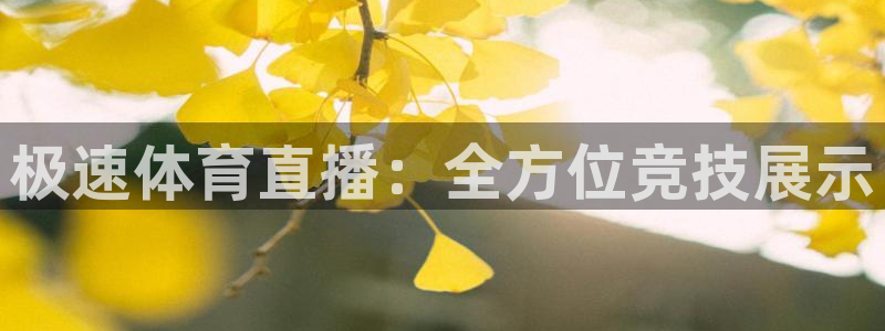 jrkan视频直播nba：极速体育直播：全方位竞技展示