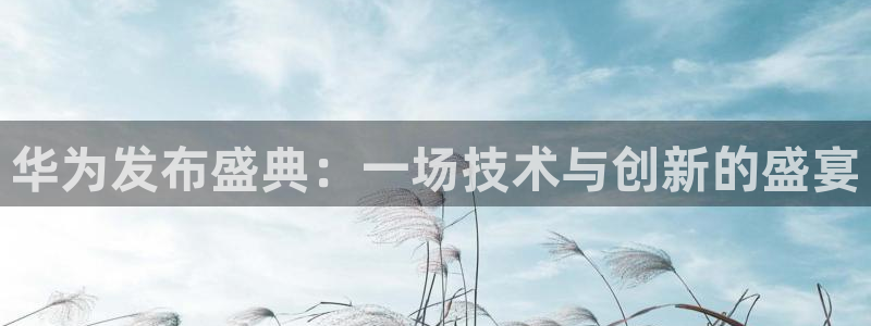 jr看球直播：华为发布盛典：一场技术与创新的盛宴